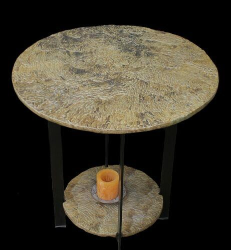 Fossilized Pennsylvanian Microbial Mat Table - Oklahoma #39092